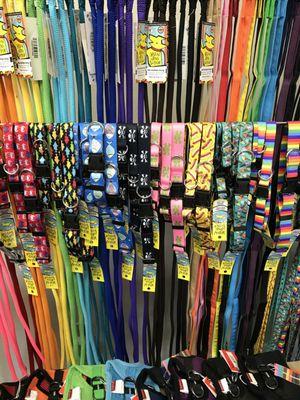 Our bright and fun collar and leashes