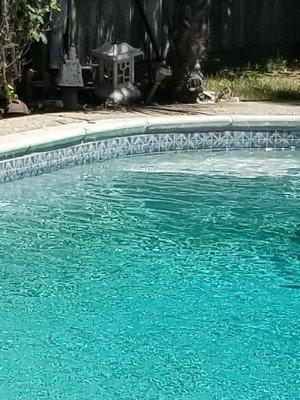 Algae growing on pool wall.