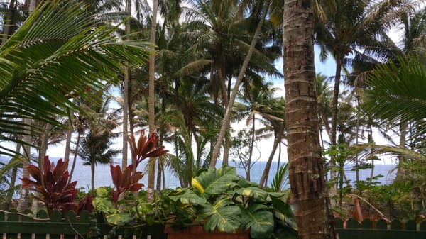 View from the Whale House at the Kehena Beach Cottages