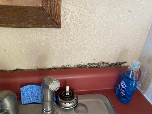 Black Mold around the sink!