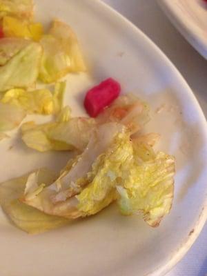 Disgusting salad - lettuce was rotten looking