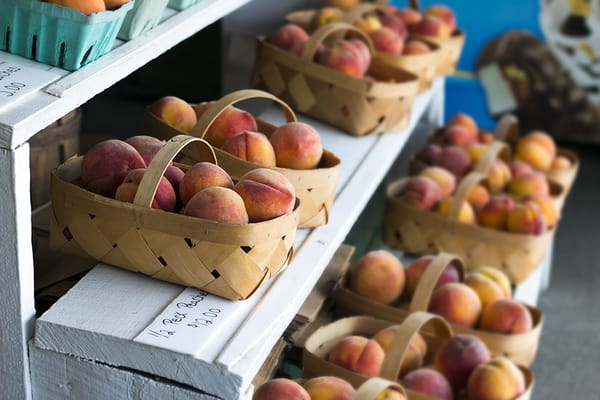 Richards Fruit Market