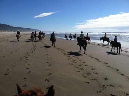 Horseback Riding Rentals Oregon Beach Rides