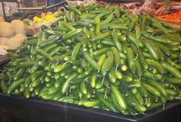 Fresh Persian Cucumbers