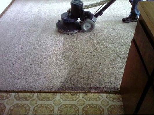 Carpets being cleaned.