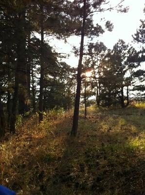 Sunset near horseshoe pit