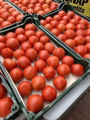 Provincetown Farmers Market