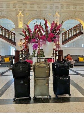 Kensington Luggage