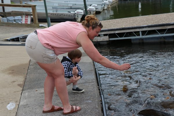 Fish feeding at Seven Points Marina