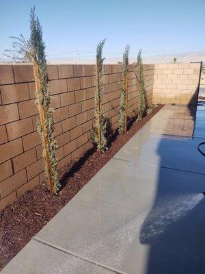 Concrete side yard pad