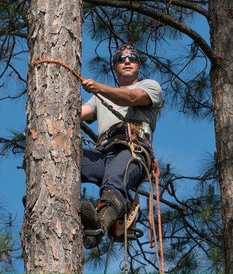 Action Tree Service