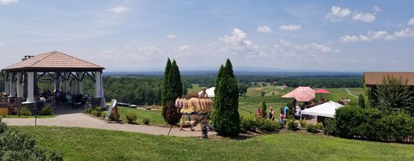 What a vineyard view with live acoustic music!