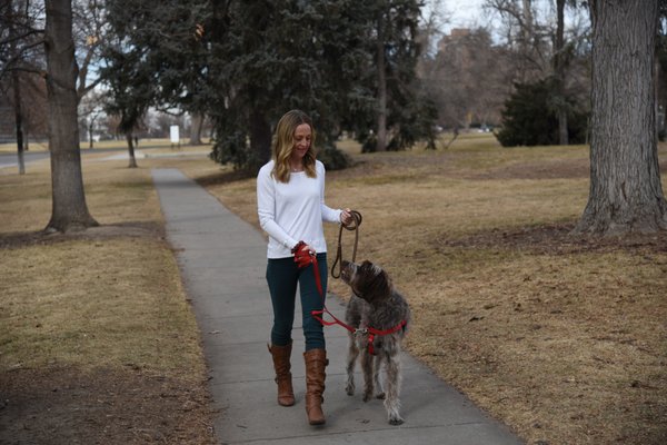 Leash training