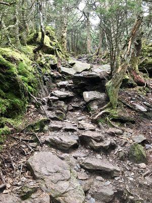 Cloudy day on Camel's hump