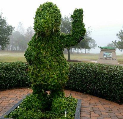 Alligator topiary out front