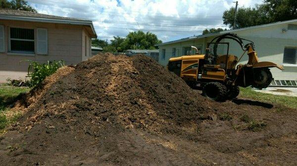 Large stump removal.  Photo 4/4.  Resulting mulch.