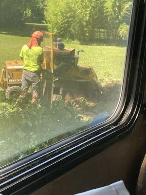 Brush is seen that was around the stump.  Very easy to work with Curtis!!