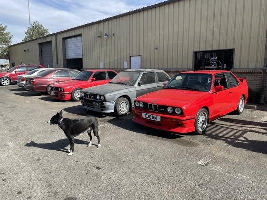 We love old BMWs