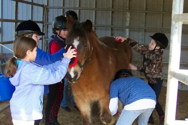 Pony camp.