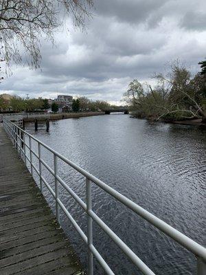 Boardwalk along the Maurice River