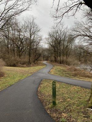 A path to the wetlands!!