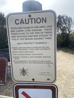 Watch out for the bugs.