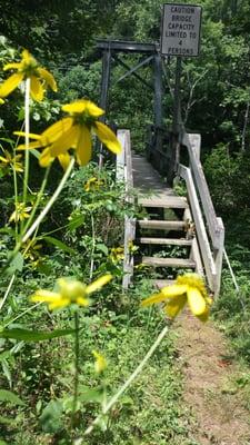 View of the swinging bridge.