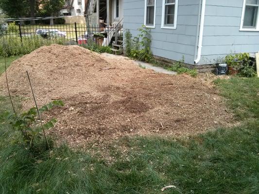 The stump is ground down around 8+ inches deep and all that's left is the cleanup.