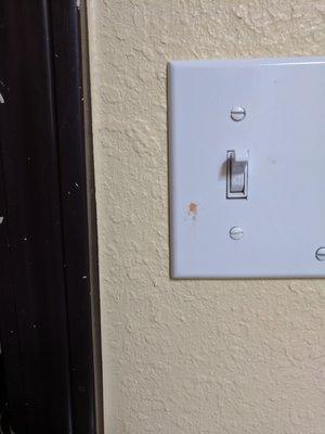 Weird smudge on the light switch. Blood? Anyway, something they should have noticed.