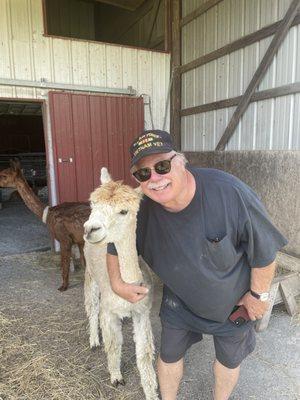 Everyone loves our sweet alpacas.