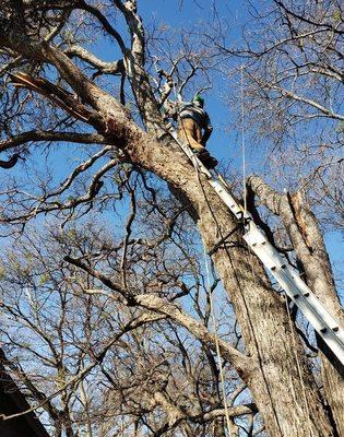 Mayfield's Tree Service