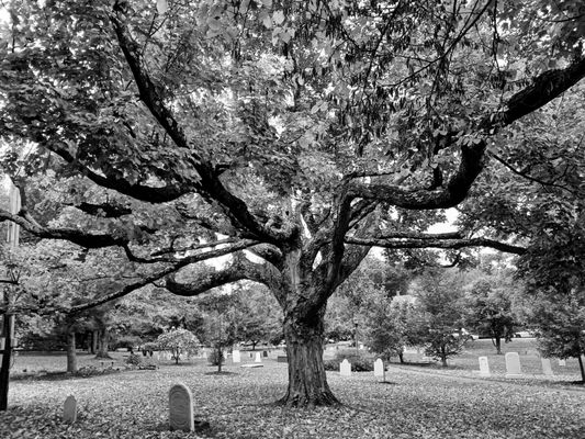 Cool cemetery scene.  Thanks, John! Appreciate the suggestion to do a B&W version.