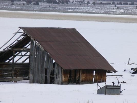 Rogue Pacific Reclaimed Lumber