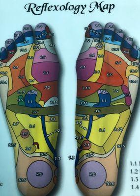 Corresponding  organs and body parts on the bottom of the feet.