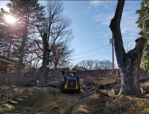 Backyard Removal