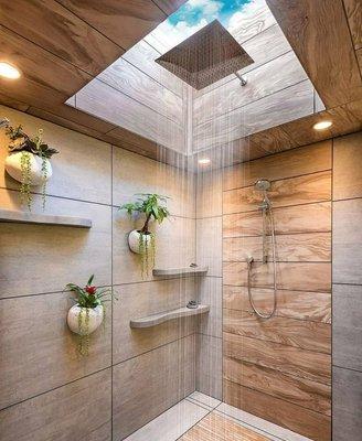 Bring the rainforest into you're home with a custom bathroom complete with live foliage, skylight and rain shower head.