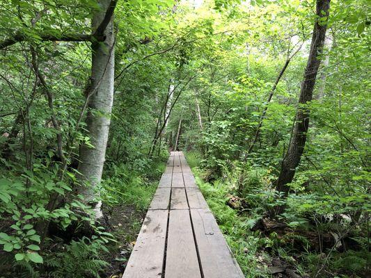 Boardwalk area of the outer trail by the lake.