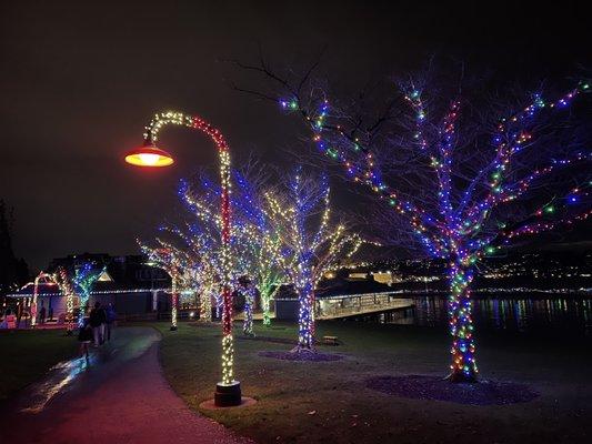 Ivar's Clam Lights