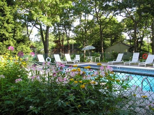 beautifully landscaped swimming pool