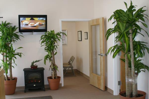 Reception Room, plants our patients gave us for our new office :)