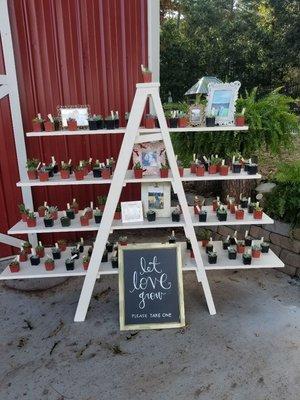 Favors display for they guests and cute decorations for the wedding, who doesn't love succulents.