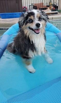 Keegan loves Luna pools!