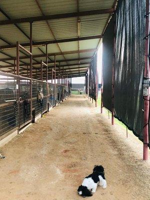 Inside the Spacious Outdoor Stalls