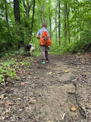 Walking the dogs on the trail