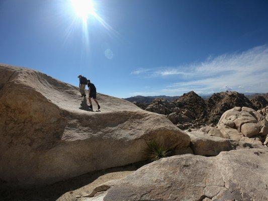 Joshua Tree Excursions