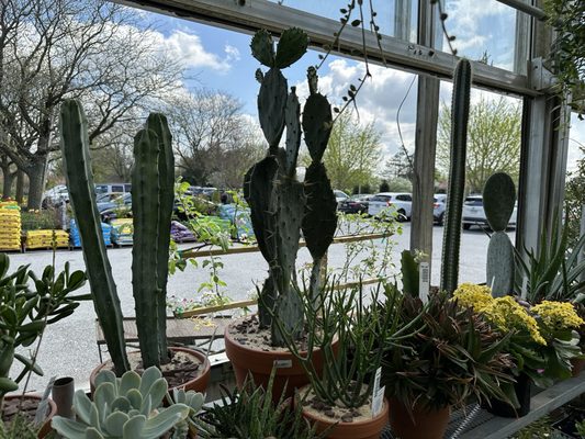 Gardner's Landscape & Nursery