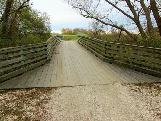 Several nice bridges