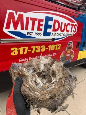 Dryer vent cleaning and we removed a birds nest!