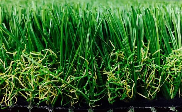 Everlast Turf mid-weight Imperial Fescue