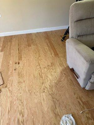 After: hardwood replacement project completed